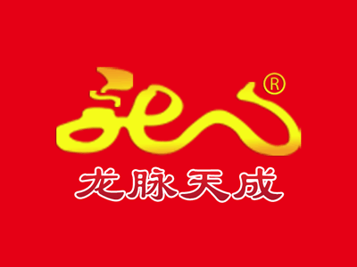公司动态