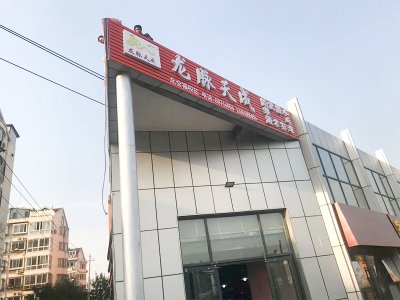 龙脉,天成,053号,分校,一切,准备就绪,开始,