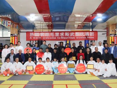 2018,毛里求斯,武协,主席,率队,到访,龙脉,天成,