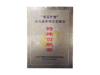 少儿嘉年华文艺晚会特殊贡献奖