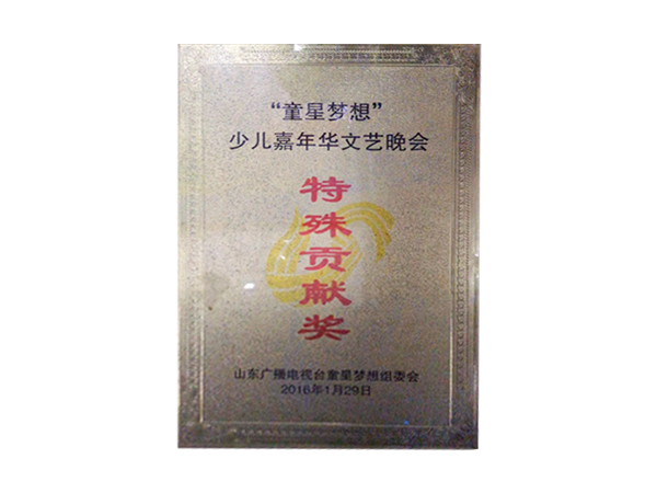 少儿嘉年华文艺晚会特殊贡献奖