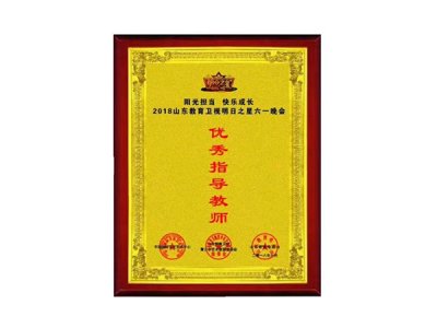 优秀指导教师
