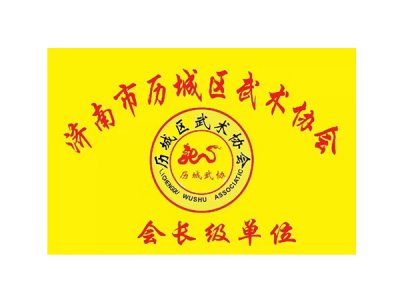 济南市历城区武术协会会长级单位