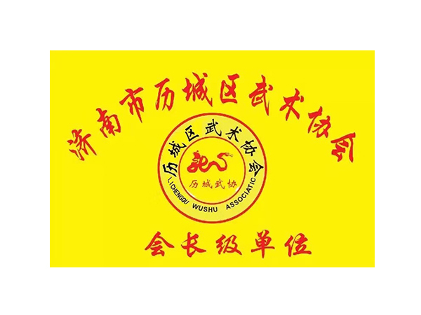 济南市历城区武术协会会长级单位