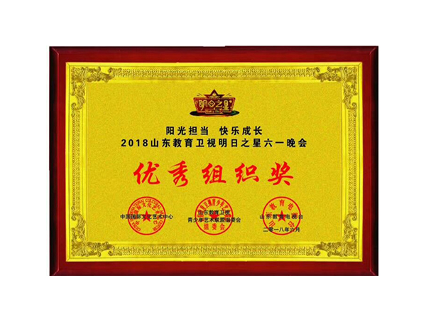 明日之星六一晚会优秀组织奖